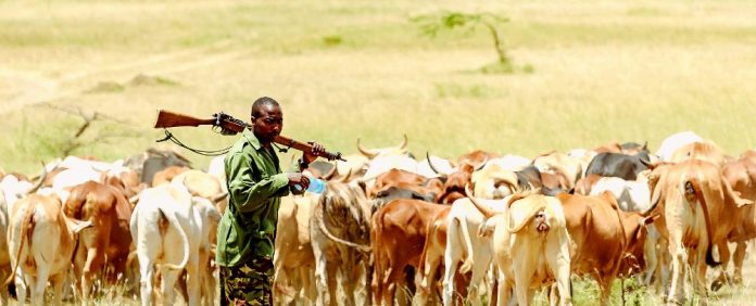 Systèmes agro-pastorales : le Sahel et l’Afrique de l’Ouest s’engagent face au défi climatique et aux conflits