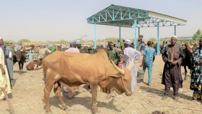 Forum de Nouakchott : un bilan sur les 10 ans d’actions au profit des communautés pastorales et agropastorales prévu