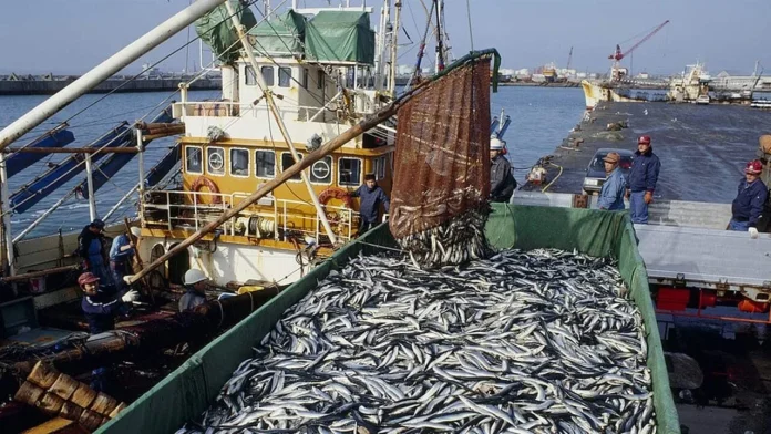 Lutte contre la pêche illicite : Les experts de la CEDEAO en réunion à Abidjan pour un plan d’action