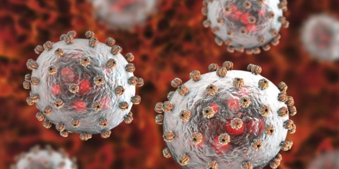 Lutte contre la fièvre de lassa : la 2ᵉconférence internationale de la CEDEAO s’ouvre à Abidjan ce lundi