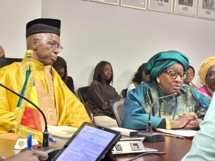 Égalité des genres : à l’ONU, le Sénégal plaide pour une masculinité positive