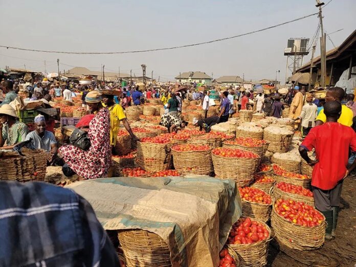 Commerce agricole : les échanges USA–Afrique en forte hausse